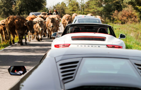Lamborghini Porsche Vaca Campo DME GT Club