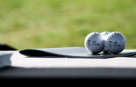 Pelotas Golf DME GT Club Logo