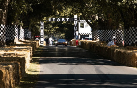 DME GT CLUB Goodwood Festival of Speed 2019 05