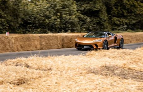 DME GT CLUB Goodwood Festival of Speed 2019 06