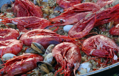 SxS Monegros Experience '25